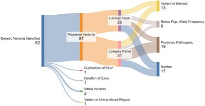 Cardiac arrhythmia and epilepsy genetic variants in sudden unexpected death in epilepsy